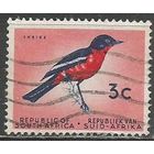 Южная Африка(Республика). Красногрудый сорокопут. 1961г. Mi#292.