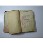 Чириков Евгений. Отчий дом. Семейная хроника книга 4.