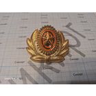 Кокарда ВС РФ пластиковая на винту