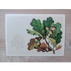 Куртенко  1979 не подписана