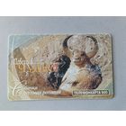 Телефонная карта. Собачка луговая рогатая