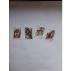 Марки Беларусь 2000 Рысь