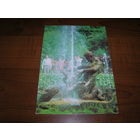 Петродворец Фонтан Тритон 1987 год чистая