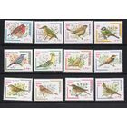 Иран 1999-2002. Стандарт. Птицы 12 марок комплект  (2798)
