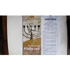 Буклет и программка спектакля НАБТ РБ "Набукко" (2010 г.)