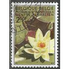 Бельгия. Выставка цветов. Кувшинка. 1970г. Mi#1581.