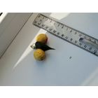 Елочные игрушки из ваты (папье-маше): вишня