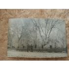 Брест-Литовск. Костел. 1915