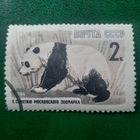 СССР 1964. Фауна. Панда. Марка из серии