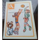 Волейбол Олимпийский медведь