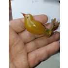 Ёлочная игрушка из набора птицы и животные СССР .