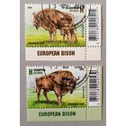 Европейские  зубры. Полная серия. Беларусь, 2024