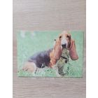 Календарик,1993