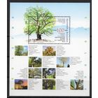 Болгария 2014. Флора Деревья (5159)