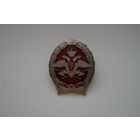 Нагрудный знак "300 лет тылу ВС"