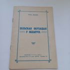 Польская окупацыя у Беларусі. Антон Луцкевіч.