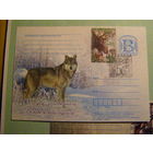 ПК Беларусь. Пуща Налибокская. СГ 27.11.2014 Фауна волк