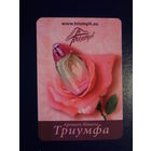 Календарик 2009 г.  Аромат Вашего Триумфа.