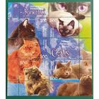 2004 Кошки Беларусь