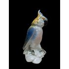 С РУБЛЯ! Какаду, Германия