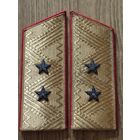 Погоны генерал-лейтенанта ВС СССР, парадные, образца 1955 года, размер 16.