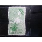 Бермуды, колония Англии, 1953. Лилии и королева Елизавета II