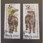 СССР. 1990 год. Динозавры. 2 марки