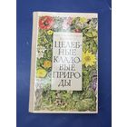 Целебные кладовые природы