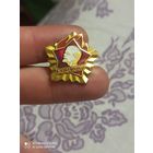 Значок Ленин всегда готов
