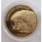 Вожык Ёж Ёжик Нedgehog, Золото Au 999, 50 рублей 2011, 7.78 грамма, тираж 1000 шт.