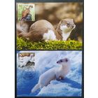 Беларусь 2020 КМ звери, тираж 30 экз. .