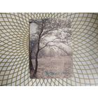 Открытка СССР 1985 год. Подписана. А.Погорельский .Состояние на скане.Тираж 1,3 млн.