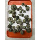 Пуговицы.цена за все