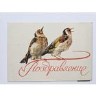 Телеграмма 1958 Поздравление