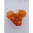 Все лоты с 1р.Редкая Янтарная брошь