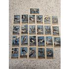 Спичечные этикетки