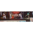 Национальный академический Большой театр оперы и балета 2013 год Беларусь (м)