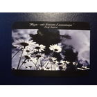 Календарик 2007 г.  ИПП "Новик". Жизнь-это вечность в миниатюре.