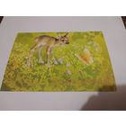 Открытка 1986г. Художник А. Исаков.