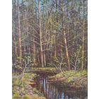 Лесная речка, весна