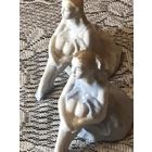 Балерины  рига