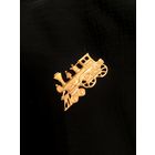 Брошь Паровоз