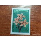 Спичечная этикетка Алмазный фонд СССР Букет нарциссов