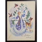 Сорокина С Новым годом 1982 чистая открытка СССР