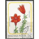 Венгрия. Лилия лукавиценосная. 1985г. Mi#3788.