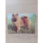 Календарик 1993