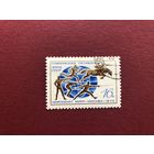 СССР 1974 год. Чемпионат мира по современному пятиборью в Москве
