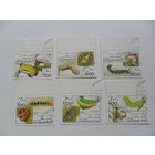 Афганистан, фауна