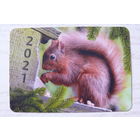 Календарик, 2021. Белка.