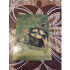 Календарик,мультик,1991